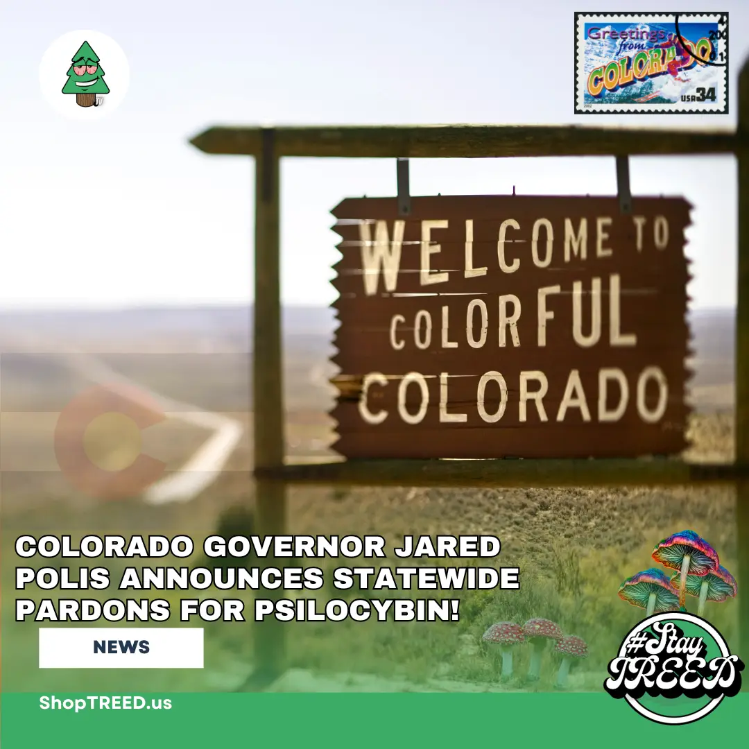 Colorado Governor Jared Polis Announces Statewide Pardons for Psilocybin!