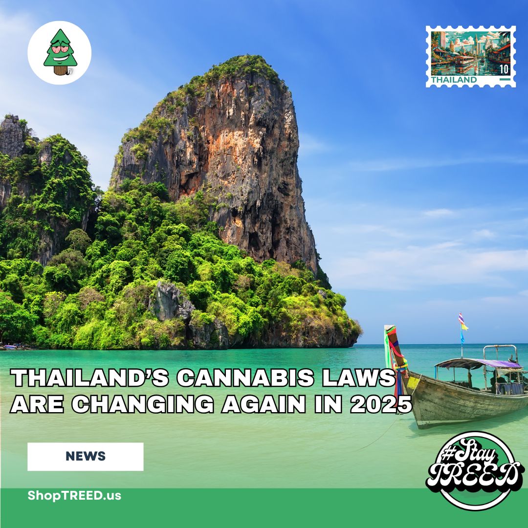 Thailand’s Cannabis Laws Are Changing Again in 2025