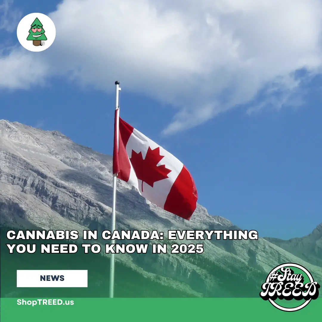 Cannabis in Canada: Everything You Need to Know in 2025